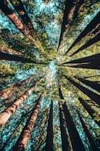 An Introduction to B Corp Status: 2025 Standard
