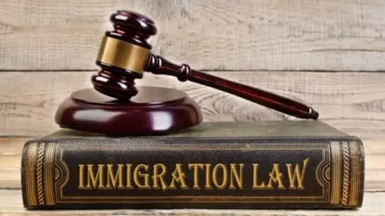 A Review of Immigration Policies: Key Facts Explored