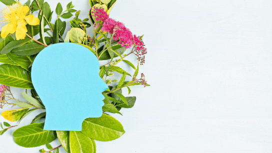 Improve Mental Health, Optimism, Wellbeing and Stamina