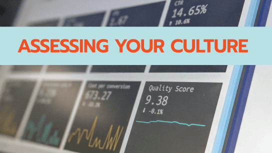 Assessing Your Culture